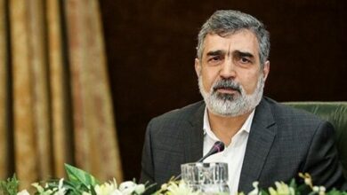 سخنگوی سازمان انرژی اتمی: ایران در بسیاری از حوزه‌های هسته ای جزو کشورهای برتر دنیا است