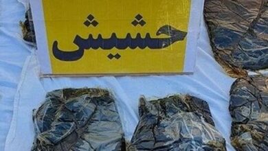 قاچاق حشیش با کوله پشتی در خراسان‌جنوبی