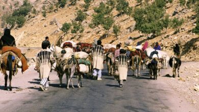 «مال‌کَنون» آیین دیرینه در میان عشایر بختیاری