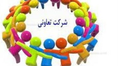 متوسط تعداد شاغلان به‌ازای هر تعاونی ۲۰ نفر شد