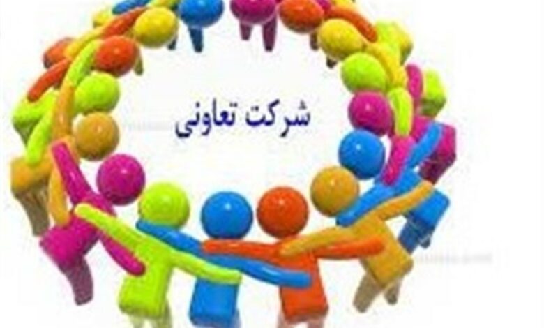 متوسط تعداد شاغلان به‌ازای هر تعاونی ۲۰ نفر شد