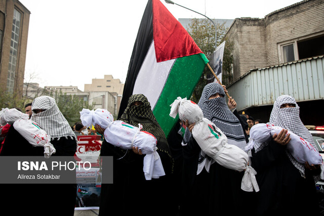 محور مقاومت محدود به غزه و فلسطین نیست