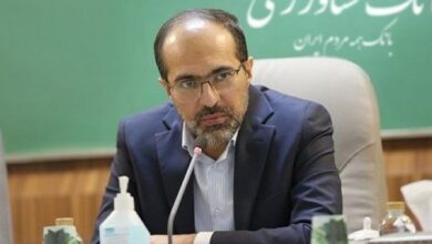 معاون وزیر اقتصاد: بانک کشاورزی در مسیر حرفه‌ای حرکت می‌کند