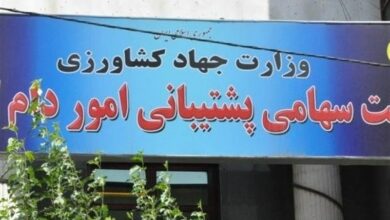 مناقصه ایران برای خرید ۳۰۰ هزار تن ذرت و دانه سویا از بازار جهانی