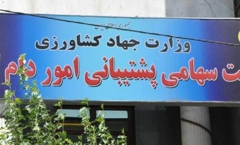 مناقصه ایران برای خرید ۳۰۰ هزار تن ذرت و دانه سویا از بازار جهانی