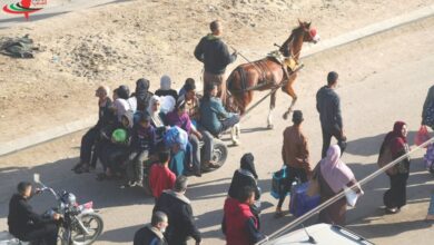 چهل‌ونهمین روز «طوفان الاقصی»| آغاز آتش بس موقت در غزه / بازگشت گسترده فلسطینی‌ها به شمال غزه / مقاومت فلسطین: در صورت نقض آتش‌بس پاسخ مناسب می‌دهیم