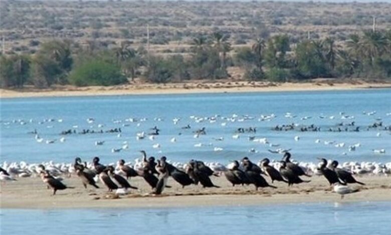 کنگره شهدا و ایثارگران محیط زیست کشور در اهواز برگزار می‌شود