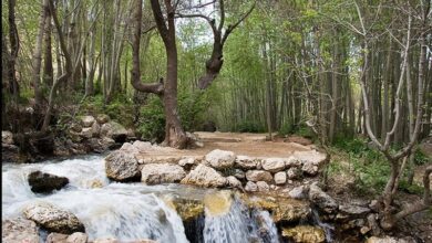 گردشگری شهرستان فارسان ظرفیت بالایی برای رونق اقتصادی دارد