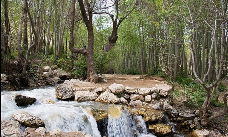 گردشگری شهرستان فارسان ظرفیت بالایی برای رونق اقتصادی دارد