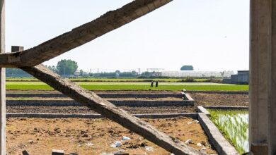 ۱۰ هکتار از مستحدثات غیرمجاز کلاردشت قلع و قمع شد