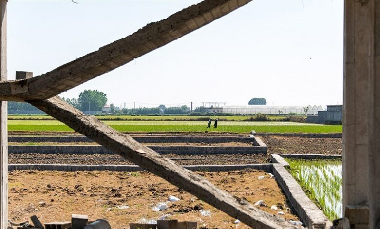 ۱۰ هکتار از مستحدثات غیرمجاز کلاردشت قلع و قمع شد