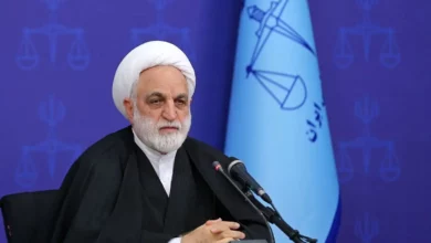 ارتباط پرونده واردات نهاده‌های دامی و چای دبش/ در سال ۱۴۰۰ و ۱۴۰۱ بیش از ۶۰ و ۷۰ درصد ارز واردات را به گروه دبش داده‌اند