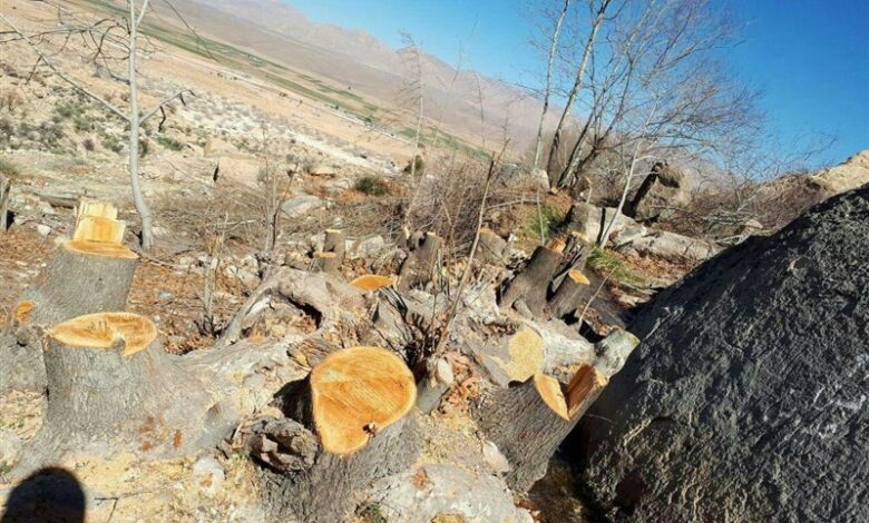 با متخلفان در تفرجگاه مرغک برخورد می‌شود