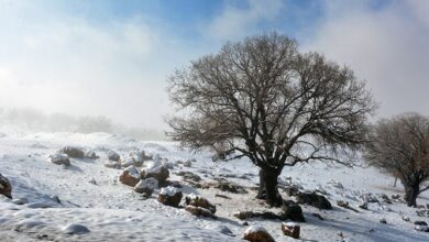 باران، برف و سیل در راه کرمان، هشدار زرد صادر شد