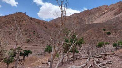 بارسلونای اسپانیا از کم آبی شدید رنج می‌برد