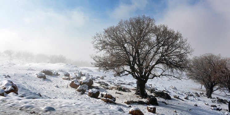 بارش برف در ایران از زاویه دید ماهواره‌ها + تصویر