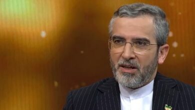 باقری: ایران روی دلارزدایی در چارچوب بریکس کار خواهد کرد