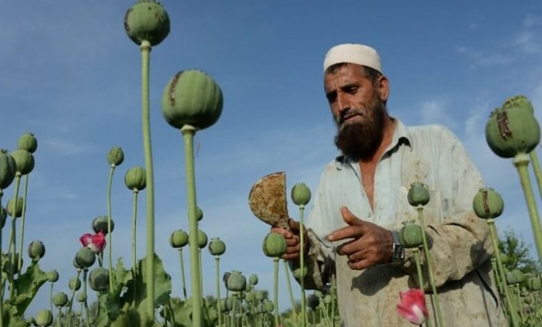 بررسی فوریت لایحه اصلاح مقابله با مواد مخدر/معتادان و مدیریت کمپ‌های اعتیاد ساماندهی می‌شوند