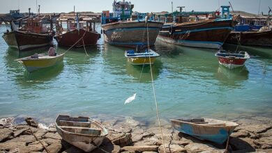 بررسی مشکلات حوزه لنج‌داران گناوه و دلوار با حضور معاون وزیر کشور