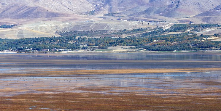 تالاب «آق‌قلعه» آذربایجان غربی احیا شد