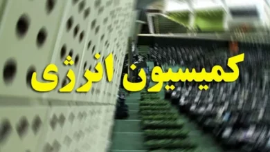 تحقیق و تفحص از عملکرد وزارت نیرو بررسی می‌شود