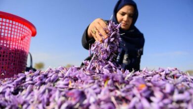 تسهیلات مشاغل خانگی ۵۰۰۰ میلیاردی شد