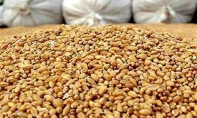 ثبت سفارش سیستمی نهاده دامی و روغن آغاز شد