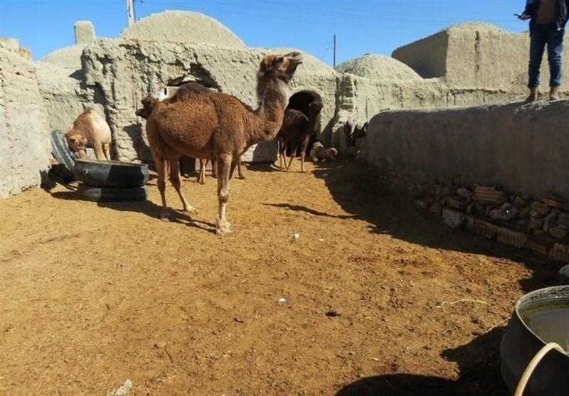 «خور» روستایی که می‌توان بوی کاه‌گل  را از خانه‌های قدیمی آن استشمام کرد