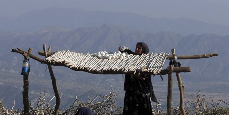 «دختر کوه نور» در میان 20 اثر منتخب «سینما حقیقت» جای گرفت