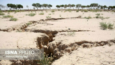 در حفاظت از جنگل‌ها و مراتع ضعف داریم