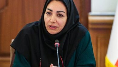 سازمان هواشناسی: از مدل انگلیسی‌ها برای پیش بینی وضع هوا استفاده می‌کنیم