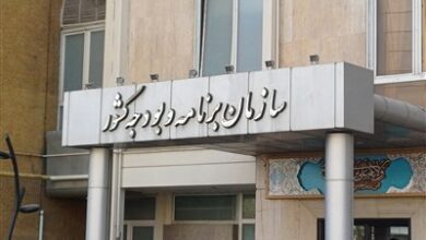 سیاست سازمان برنامه، تثبیت اقتصادی است/ امانی: حذف ارز ۲۸۵۰۰ اضافه تورم ۷ تا ۱۳ درصدی دارد