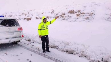 هواشناسی ایران ۱۴۰۲/۱۰/۰۳؛ بارش باران و برف در ۱۴ استان/افزایش آلودگی هوا در شهرهای صنعتی