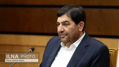 ورزشگاه جدید تهران باید چند کاربردی و خاص باشد