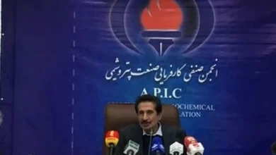 پیشنهاد پتروشیمی ها برای سرمایه گذاری در توسعه میادین گازی بی پاسخ ماند