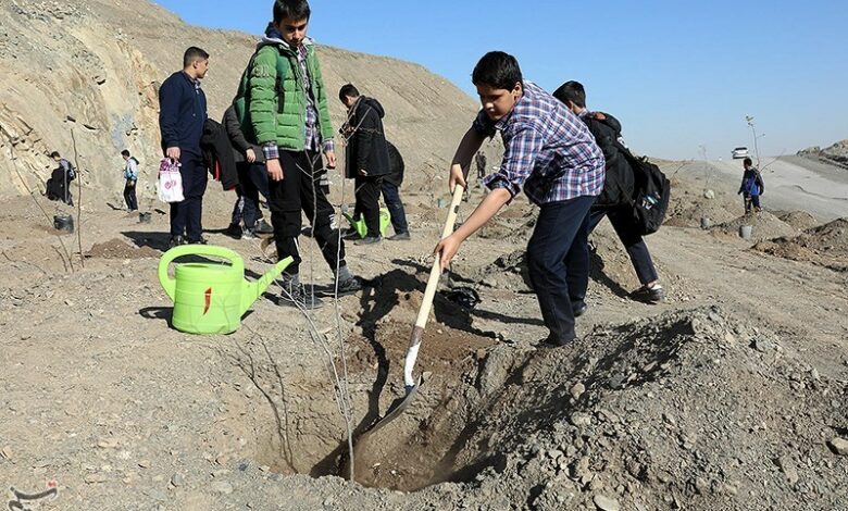 ‌چرا زنجان کمتر از سهمیه سالانه خود غرس نهال داشته است؟‌