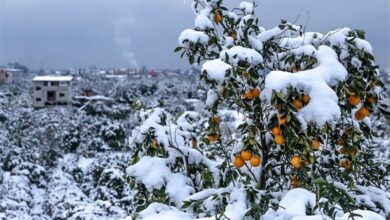 کاهش 4 درجه‌ای دمای هوای کردستان/ یخبندان تا آخر هفته تداوم دارد