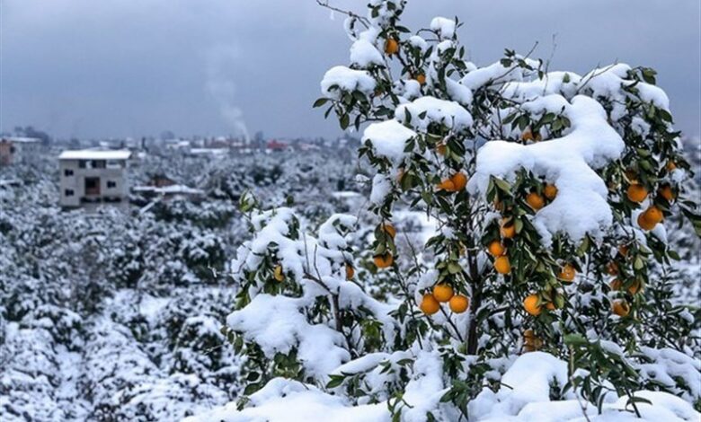 کاهش 4 درجه‌ای دمای هوای کردستان/ یخبندان تا آخر هفته تداوم دارد