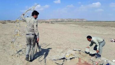 ۳ باند قاچاق پرندگان شکاری در استان بوشهر منهدم شد