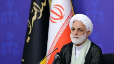 آمران و عاملان جنایت گلزار شهدای کرمان از طرق مقتضی مجازات خواهند شد