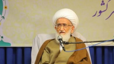 آیت‌الله نوری‌همدانی: ‌در مورد وضعیت حجاب مکرر تذکر داده‌ایم/ نگرانی افراد متدین به جاست/ مسئولان ‌حساس باشند