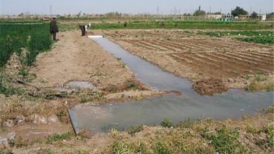 ابلاغ آیین‌نامه اجرایی قانون حفاظت از خاک/ ارزش اقتصادی خاک مبنا شد