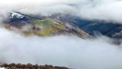 احتمال افزایش نسبی دما در مازندران