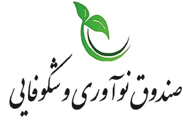 اختصاص منابعی برای افزایش سرمایه صندوق نوآوری و شکوفایی