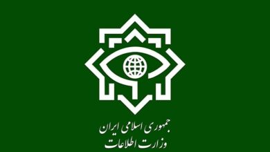 اطلاعیه سوم وزارت اطلاعات درباره حادثه تروریستی کرمان| دستگیری و هلاکت تعدادی از سرکردگان داعشی