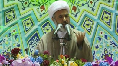 امام جمعه موقت بیرجند: مردم در انتخابات‌ دیگر از سوراخ مارهای رنگارنگ گزیده نخواهند شد