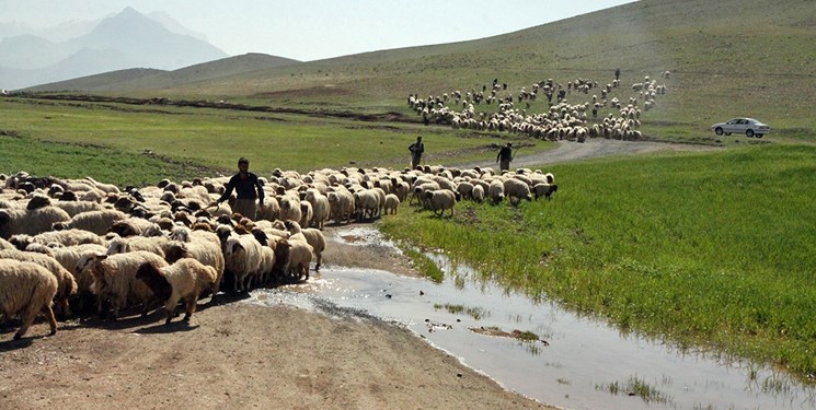 «ایل زوله»؛ حکایتی از عشایر سرگردان بین مبدا و مقصد