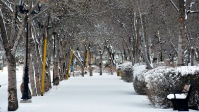 بارش برف سراسر استان اردبیل را سفیدپوش می‌کند