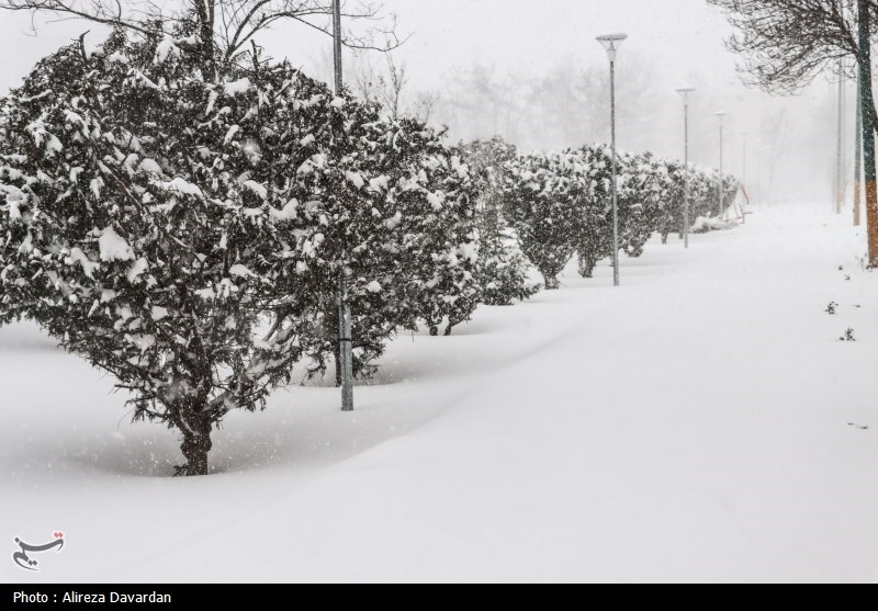 دور جدید بارش‌های سنگین برف در اردبیل/ سرمای هوای به 15 درجه زیر صفر رسید/ اکثر راه‌های روستایی مسدود شد + فیلم