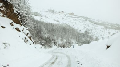 بارش سنگین برف در گردنه ژالانه کردستان/ ‌بارش نیم‌متری ‌برف در جاده‌های کوهستانی